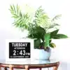 Dawn-Clocks-60_Table_720x