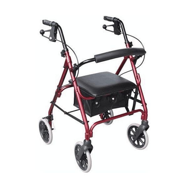 Days 102 Walker