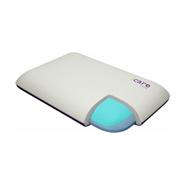 iCare ActiveX Pillow